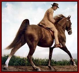 TWHAC's tweet photo. #TBT to the one that started it all, 1939 World Grand Champion Strolling Jim. #tennesseewalkinghorse #tennesseewalker #TWHNC https://t.co/GQedHPiHBJ