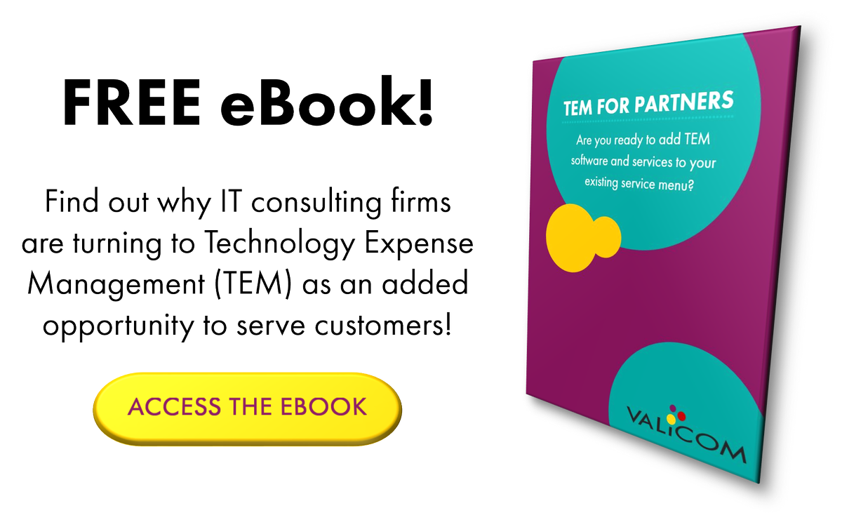 Valicom's tweet photo. ACCESS NOW: Why IT Consultants are turning to TEM #ITConsultant #ITConsulting #ITServices #TechPartners #TEM #TechnologyExpenseManagement Read the FREE eBook now!
https://t.co/sAbScrs8wg https://t.co/kEoH63VCnX