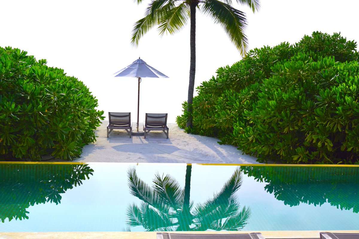FrenchieKitchen's tweet photo. #hurawalhi #maldives #lifeisgood #timeless
#back #sunset #beach #pool #villa
#sharks #dolphins #batman #turtles
#snorkeling #arschlecken
#wintermyass
#sameisland #samevilla #oneyearlater
@Hurawalhi https://t.co/9HOWVlXsFL