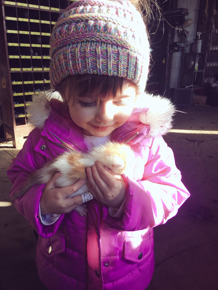 HotMessFarms's tweet photo. If only we all could still see the world through the eyes of a child......the world would be a better place. #Love #Magic #LifesMiracles #FarmRaised #FarmKid #BarnKittens #StillGoodInTheWorld https://t.co/o9N9PT3zKt