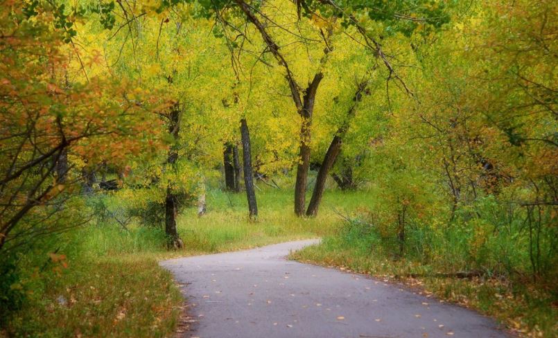 Stressful day at work? Why not de-stress with an evening stroll around the #Ecology Park at GMV! goo.gl/3raLhM
