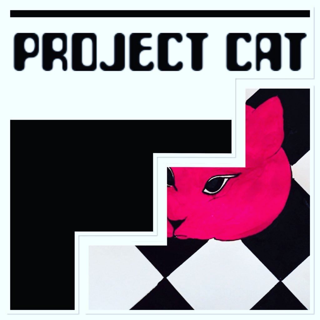 #projectcat ... punk inspired art .. #mywork #artist ..