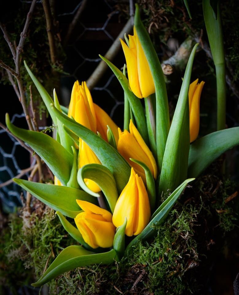 ghada (@ghadazien) on Twitter photo 