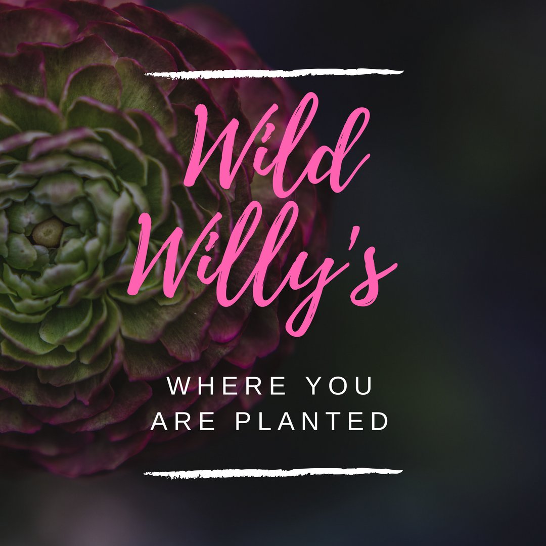 Thanks so much for the follow <a href="/TasteTipple/">Taste and Tipple</a> @fooddrinkdir <a href="/MaryRose_B/">MaryRose B</a> &amp; @DaleVMcCarthy looking forward to your tweets.  Feel free to come by the shop if you're on wellington west. 💐 #ottawabusiness