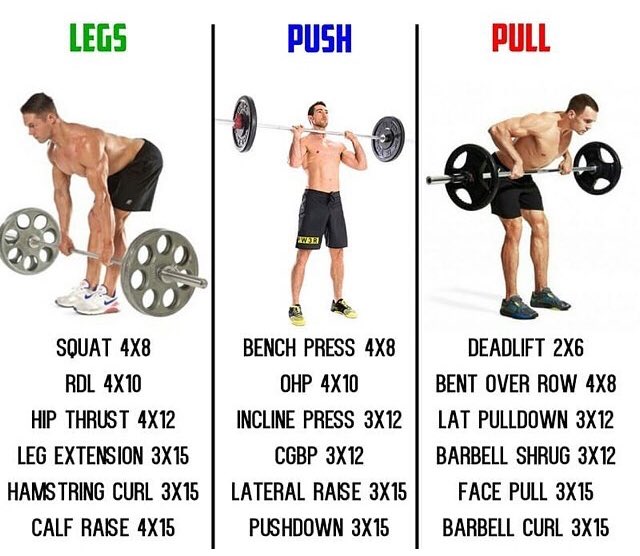 Looking for a easy weekly split for training? Make sure you hit every muscle group. #pushpulllegs #training