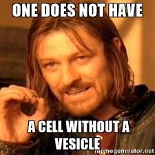 VesicleAir's tweet photo. https://t.co/Bgt0tvBt9V