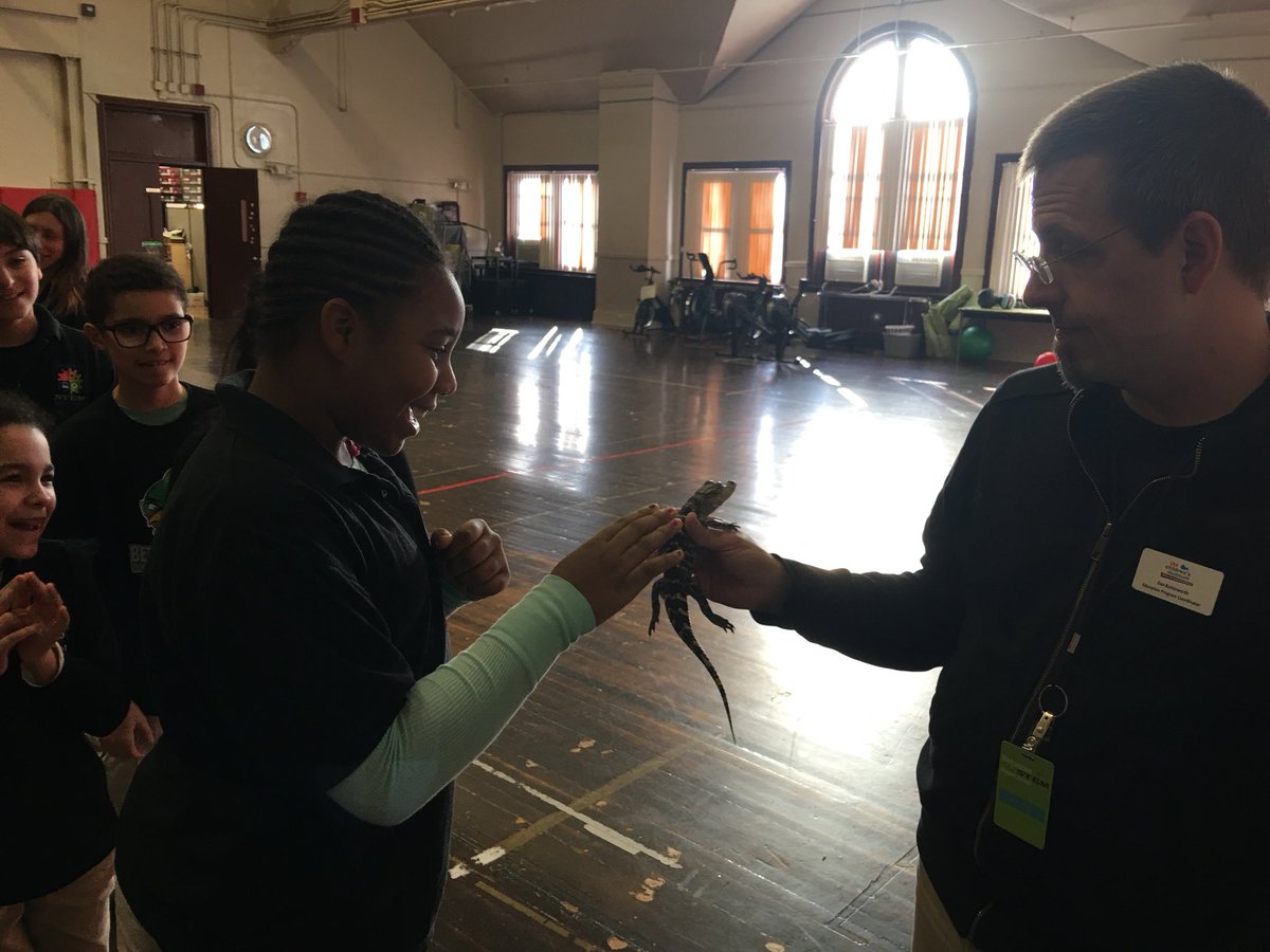 Animal Invasion at <a href="/BSTEMhartford/">Betances STEM</a>