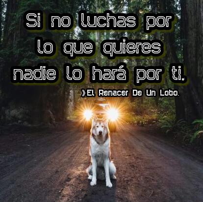 RenacerUn's tweet photo. https://t.co/LqFIhufCPb