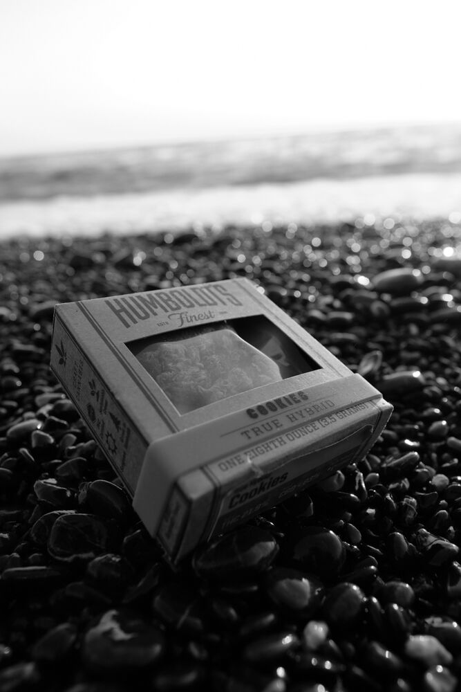 Get in tune with your surroundings.

We offer our flower in boxed eighths so you can enjoy #humboldtsfinest the way you want to.