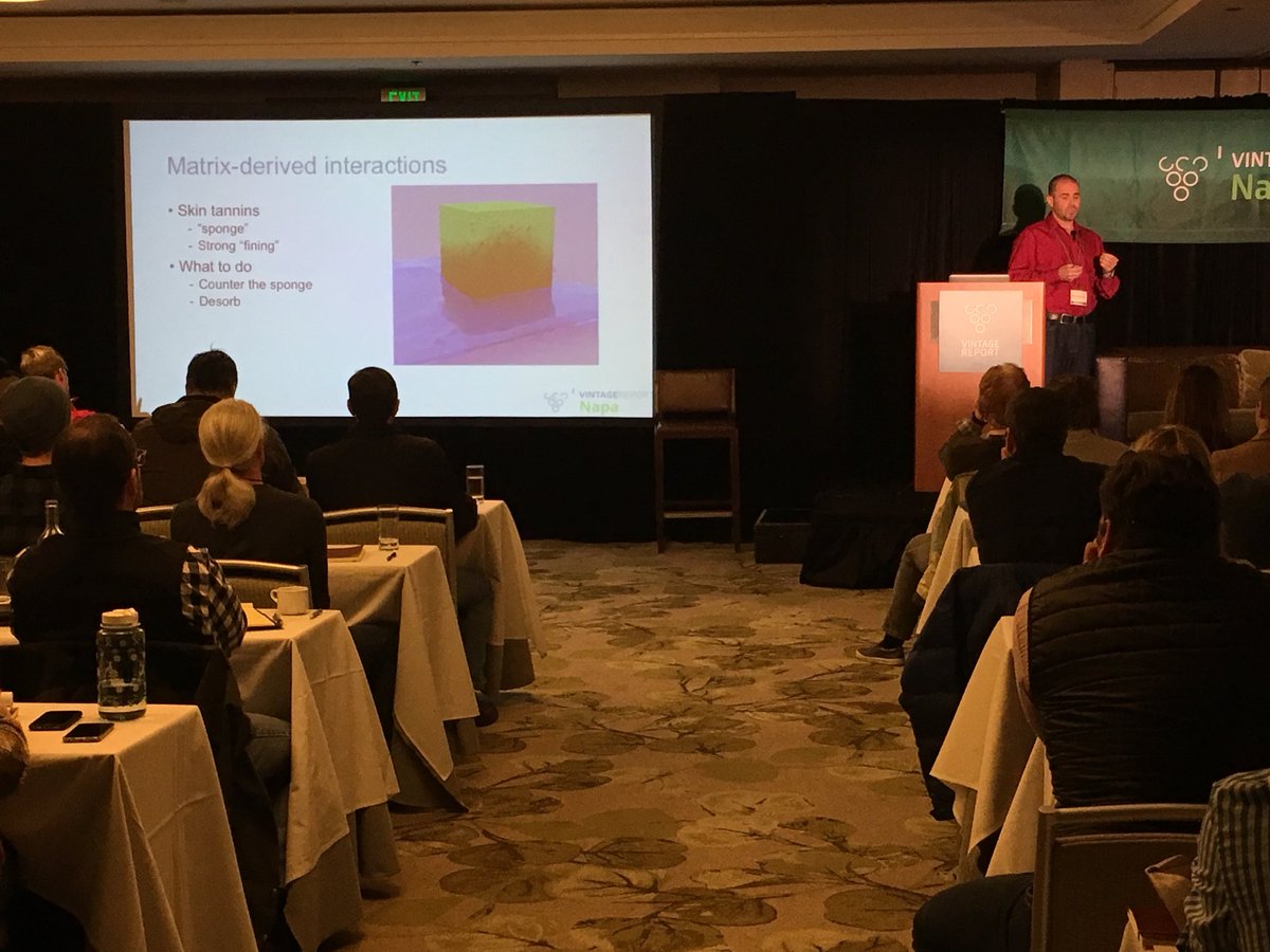 Federico Casassa Talking about #phenolic extraction at the #napa vintage report