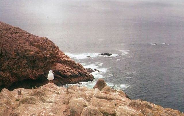 highandoutloud's tweet photo. https://t.co/FhCNMdAtSR
#raquelcaetanolopes #photography #portugal #peniche #fotografia #highandoutloud https://t.co/rxjEAWO2Bp