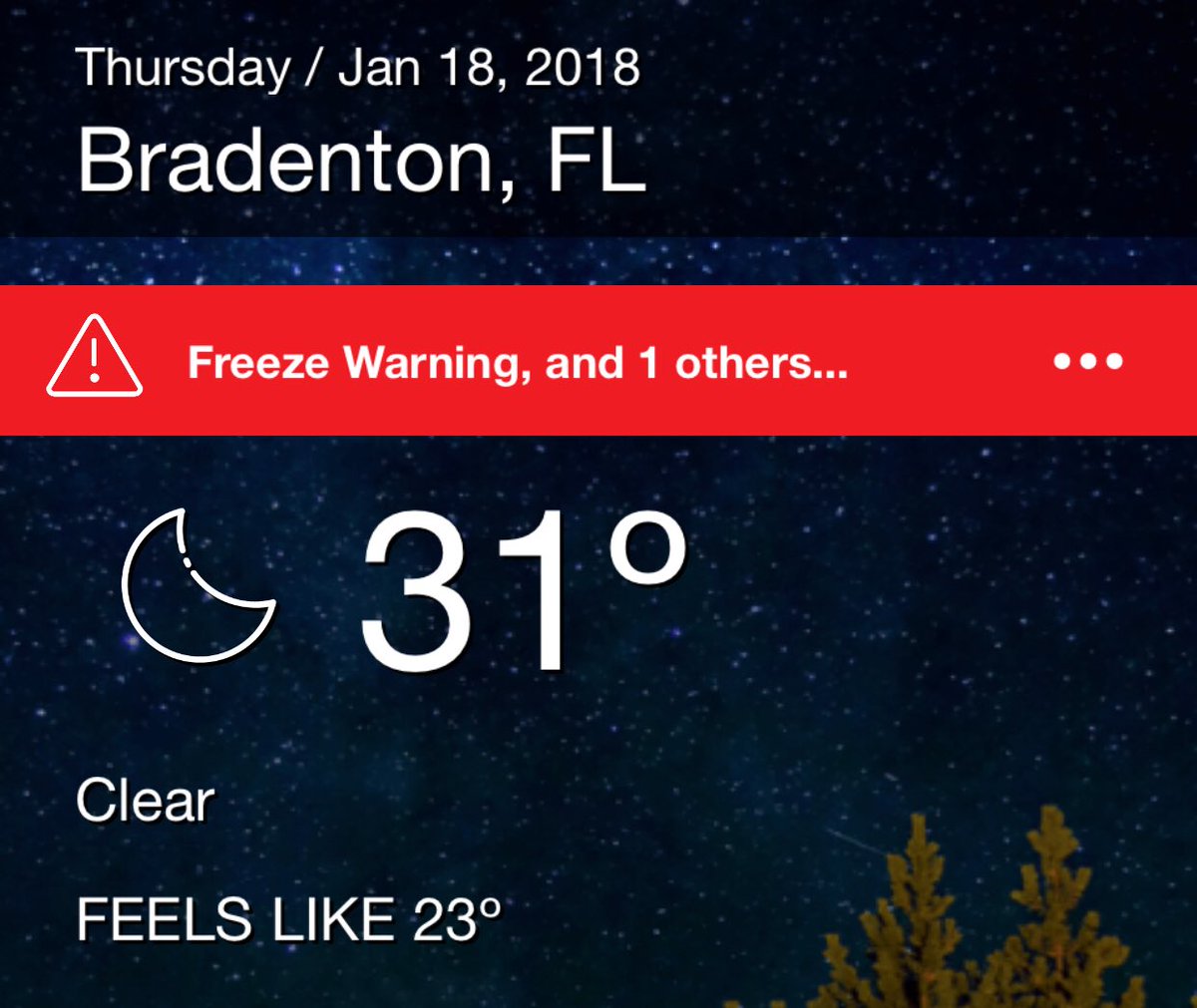I had no idea it could get this cold in Florida!!!