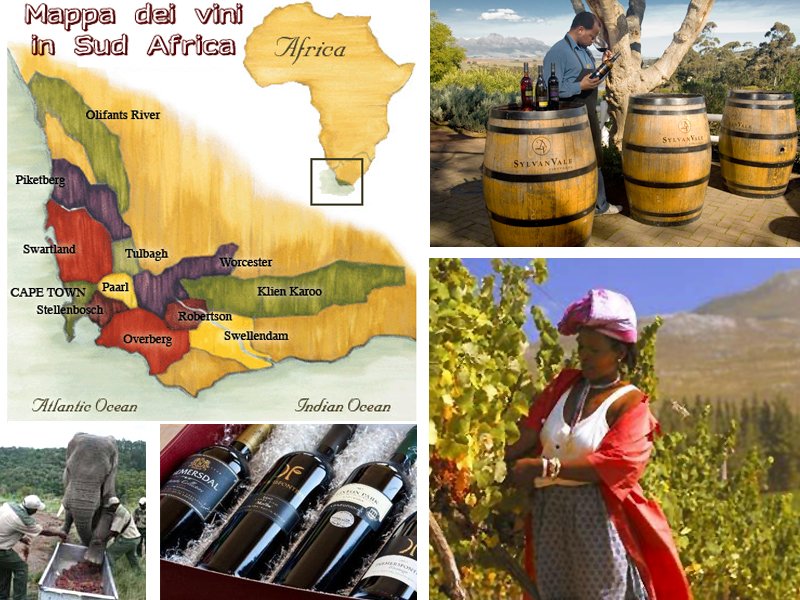 ONAVSONDRIO's tweet photo. hai mai assaggiato #vini del #sudafrica? @onavsondrio organizza una serata a tema con @AfriWines , tutte le info qui https://t.co/4Lho8dyyjK https://t.co/oDBdfkn25A