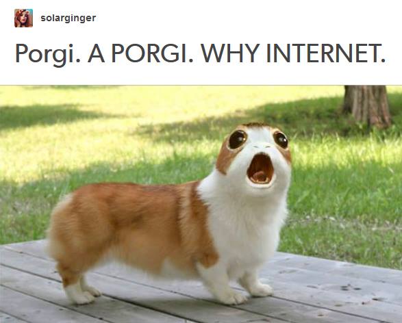 Modern_Singer's tweet image. Do we have any sopranos who need inspiration for learning "Porgi amor"? #OperaNerd #OperaProblems #OperaLife #PorgiAmor #Contessa #modernsingermag #StarWars #badpuns