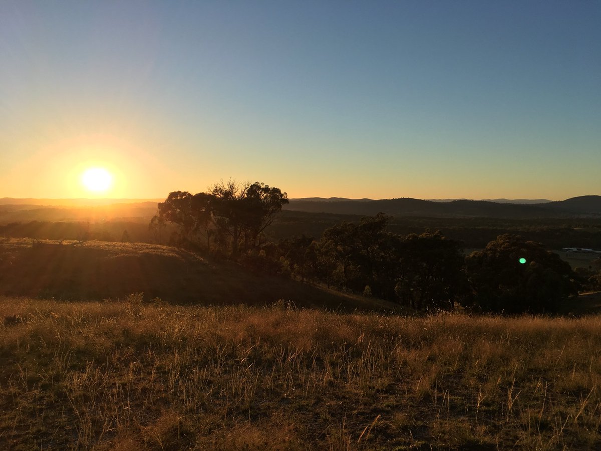Sim_Carton's tweet image. Great way to start the morning #Canberra #running #walking