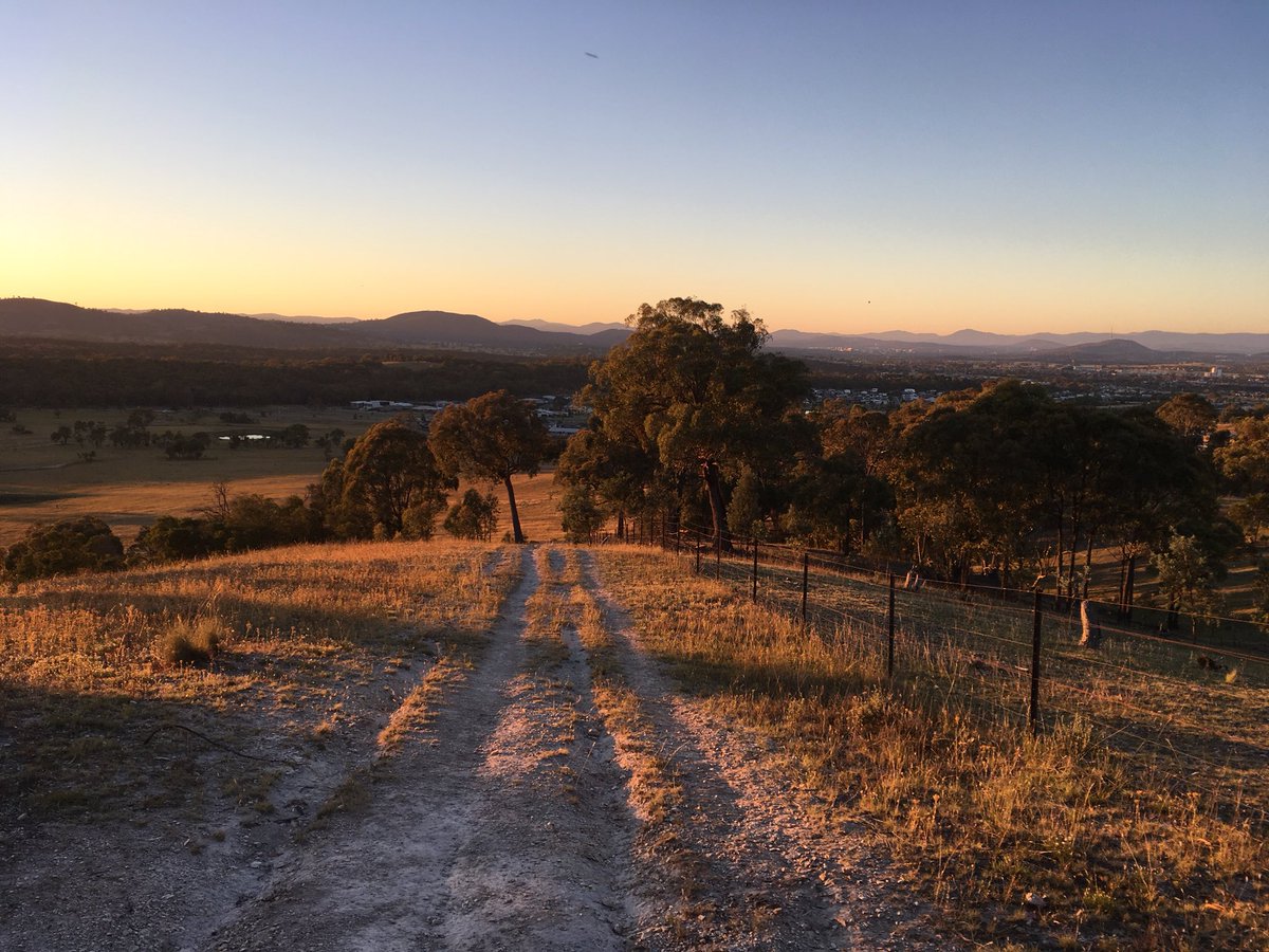 Sim_Carton's tweet image. Great way to start the morning #Canberra #running #walking