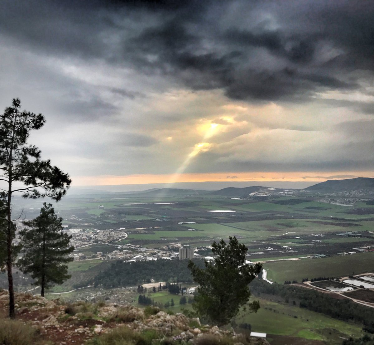 Lachlan Goudie tweet media