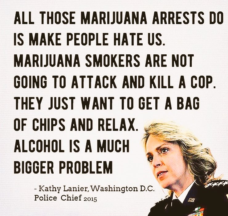 NorCalStoner420's tweet image. ...said the Police Chief...
End the #WarOnCannabis!!