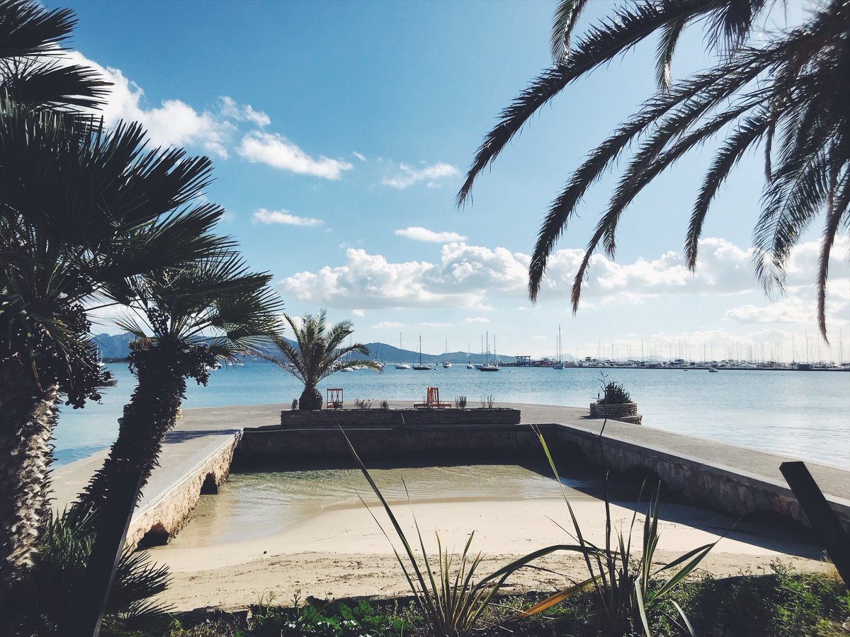 We totally fell in love with #Mallorca - such beautiful island with great food, people and nature! <a href="/visit_mallorca/">visitmallorca</a>