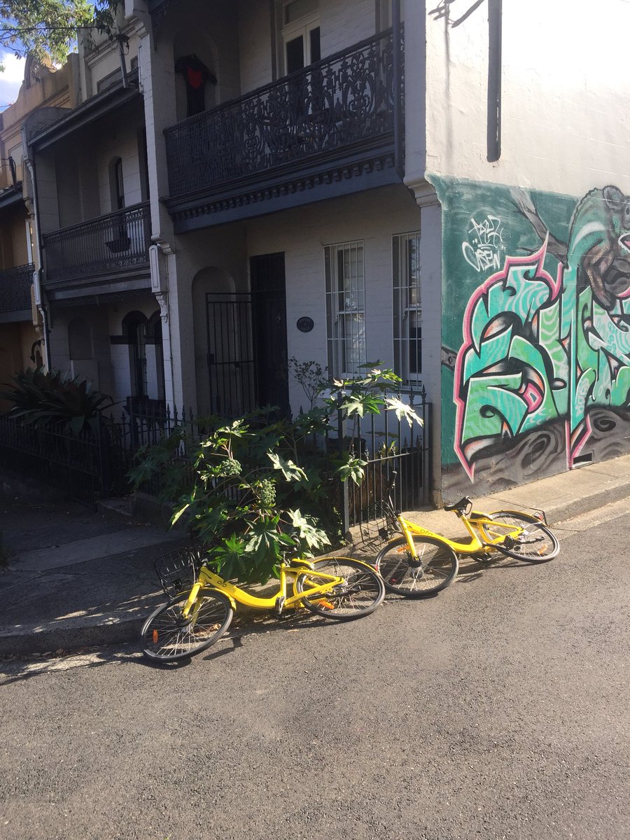Cthickett1's tweet photo. @blu_bike would love a Blu_Stand set up near my house. How do I organise one? https://t.co/tFRXNBBuUy