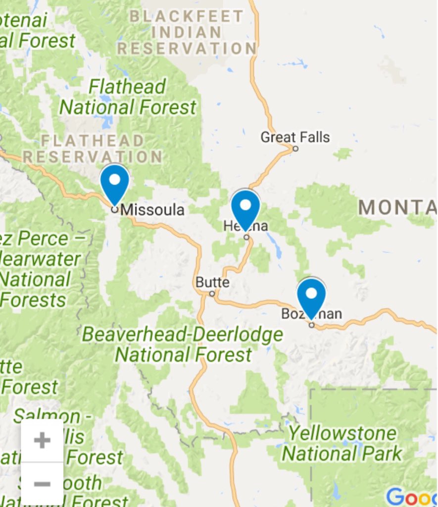 Alicia Lang tweet media