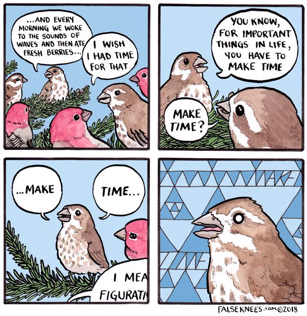 Gotta make time https://t.co/CgqHKqvFqf #falseknees #comic #webcomic #finchtime #purplefinch #maketime 