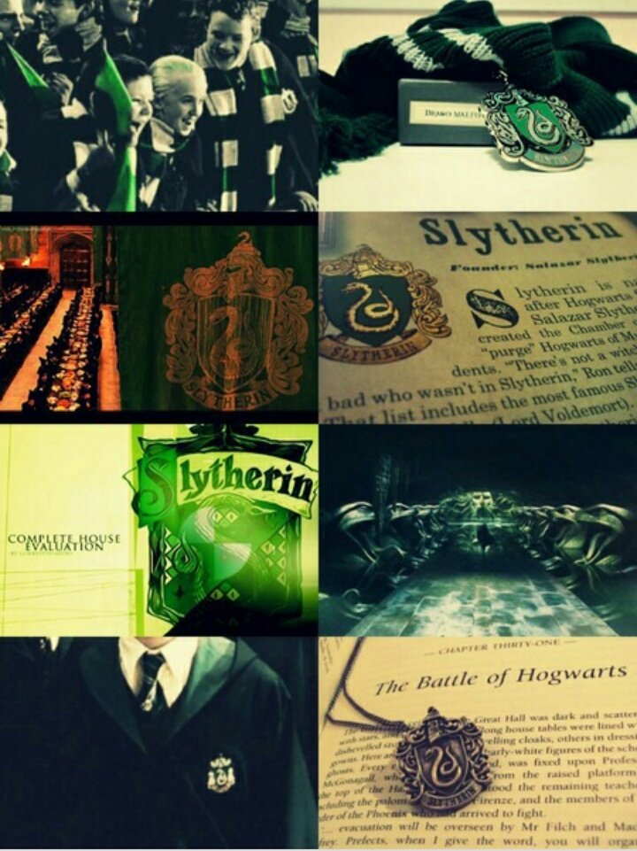 Salazarsuit's tweet photo. Astucia 
Ambición
Sagacidad 
Un verdadero Slytherin
@Slytherintty 
@pottertty https://t.co/MGXcHM5b7y
