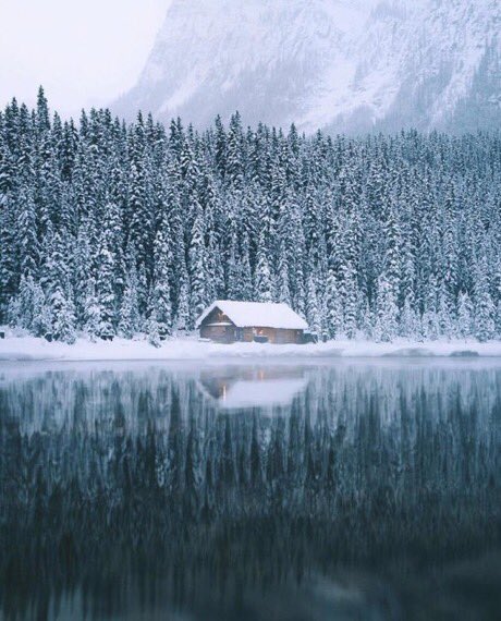 coffee_n_mtns's tweet photo. Cozy https://t.co/w8lUwzTEg6