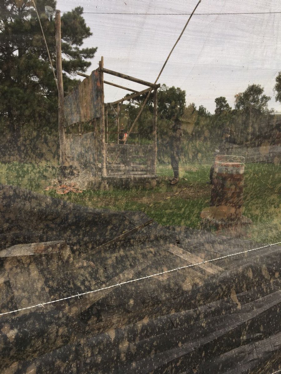 ComplexoDe's tweet image. Essas são do ultimo jogo😅