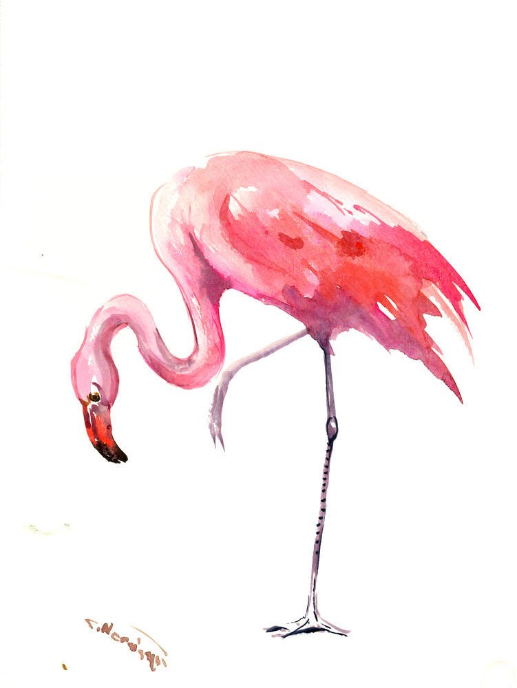 Flamingo Artwork, Painting, Original watercolor 12 X 9 in, pink … tuppu.net/8177795a #MyNewTag #FlamingoWallArt