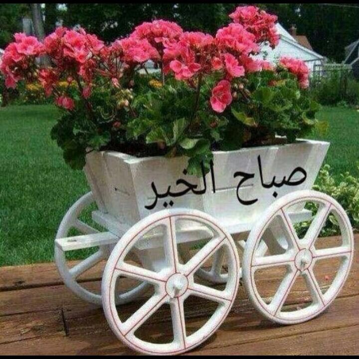 Sup_Math's tweet image. 