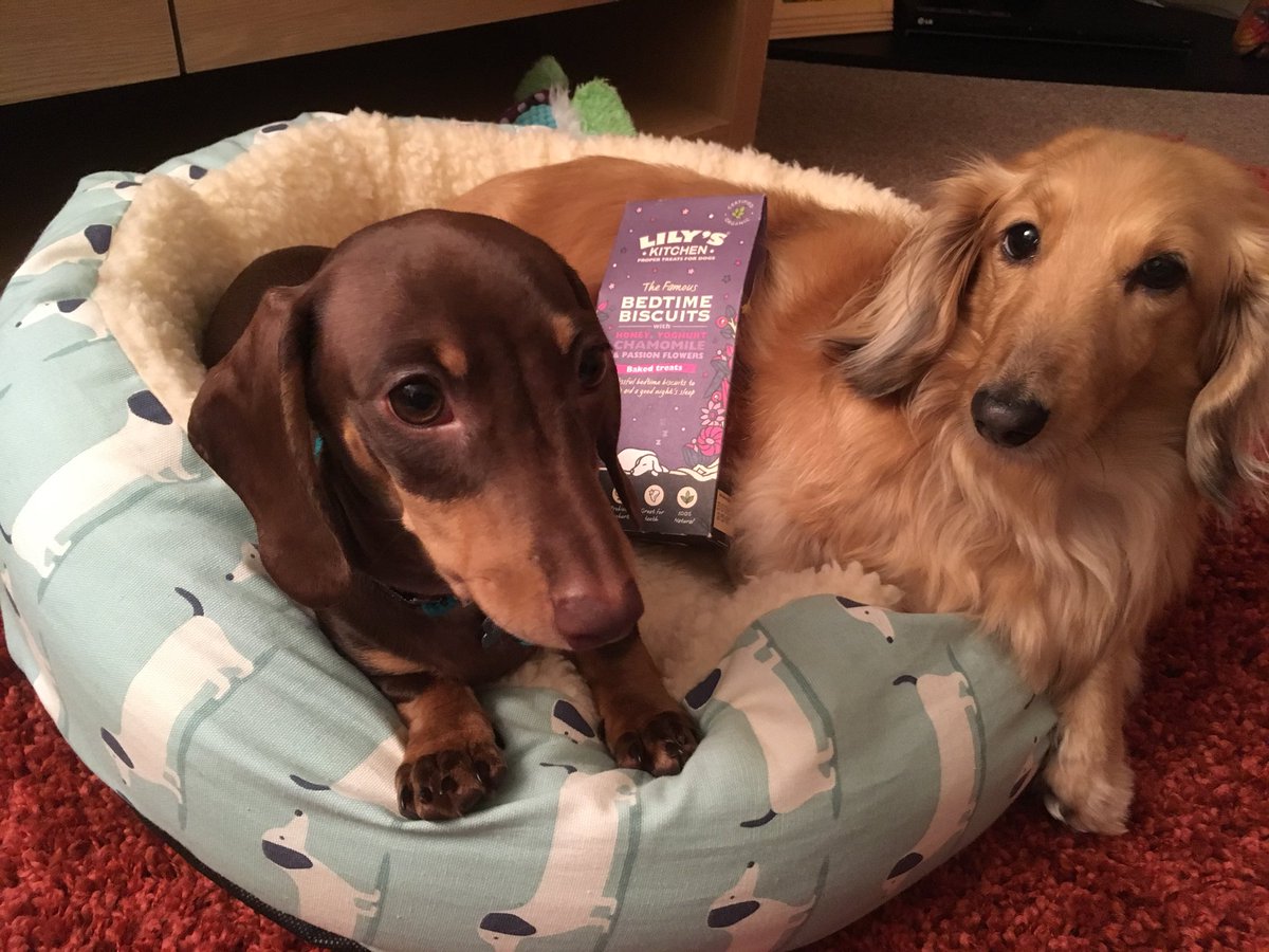 lily's kitchen bedtime biscuits