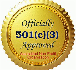 DiveForACause's tweet image. 