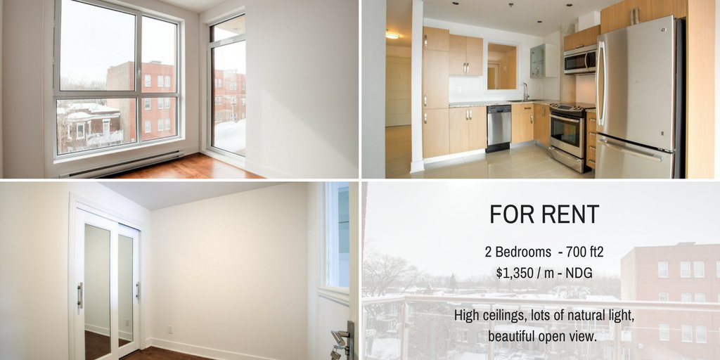 duquesimms's tweet photo. For rent; modern and bright condo in the heart of NDG.
#ForRent #Condo #NDG #Montreal #RealEstate #Realtors #Brokers #SuttonQuebec
https://t.co/kR5H85kMqr https://t.co/91VWKoaBWu