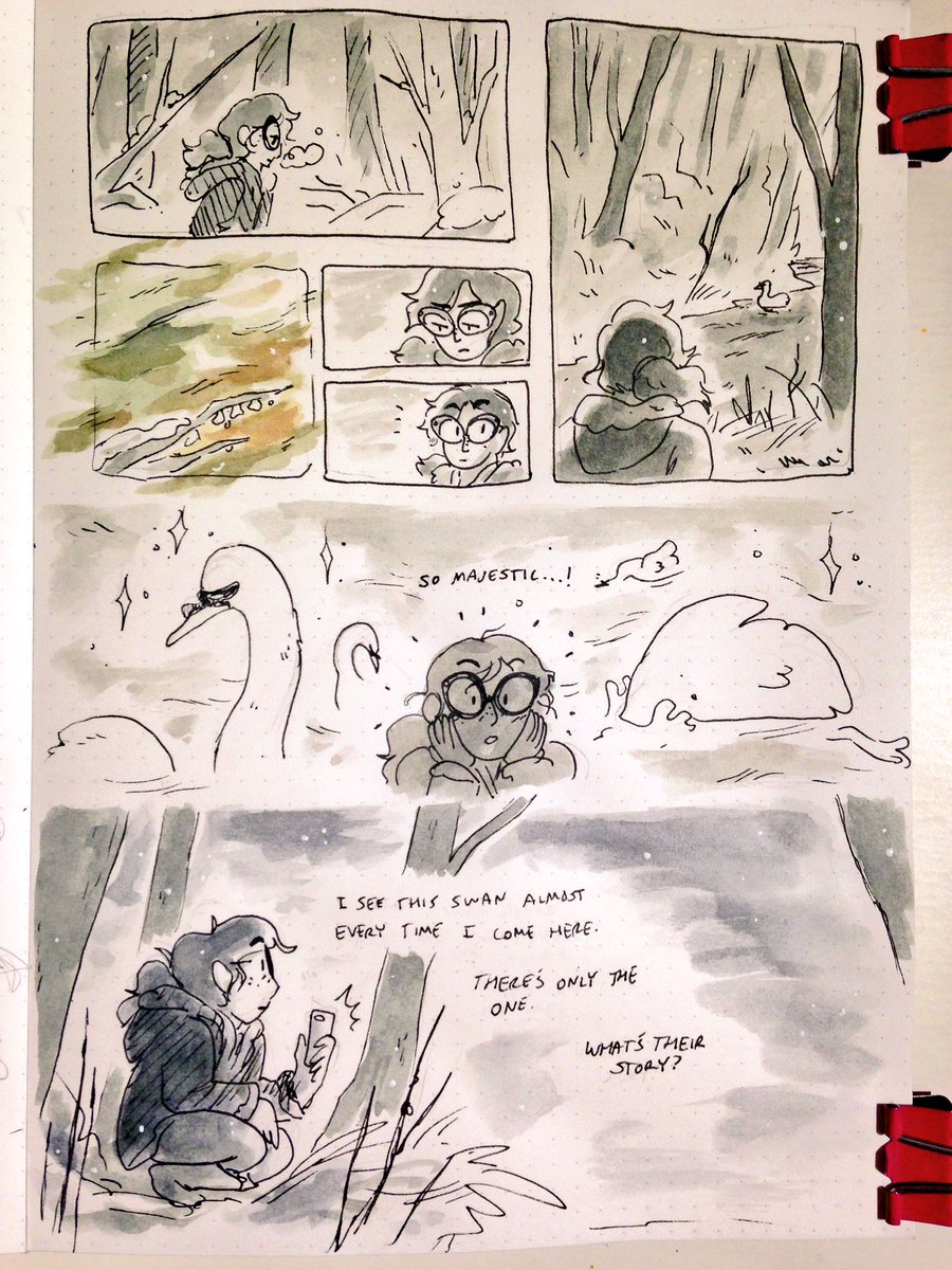 a little birdwatching autobio 