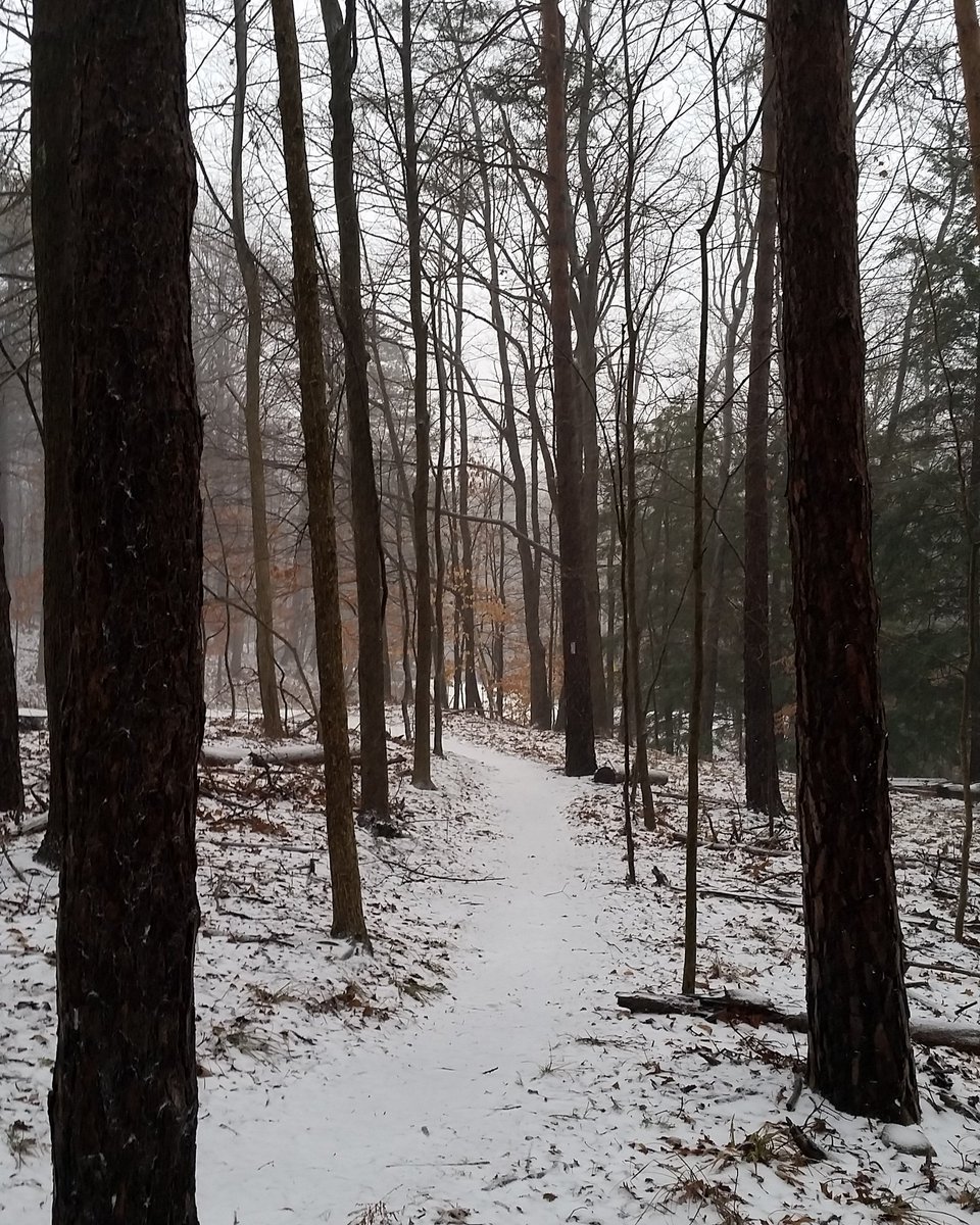 markincle's tweet image. Where is your favorite trail in the @clevemetroparks?