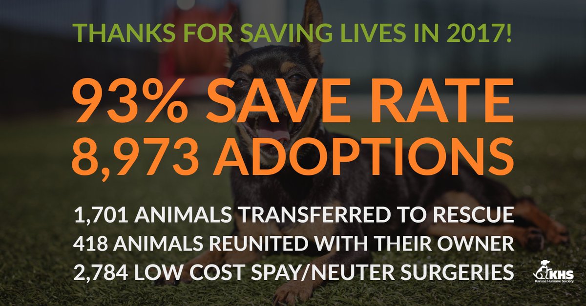 Thank you for adopting and making 2017 our most successful year ever!
Curious about the number of animals KHS helps in the community? Check out some great stats on our website: goo.gl/ChmWMp