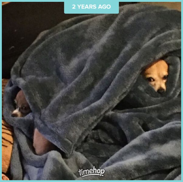 buhny's tweet image. Nothing was better than the slanket on a cold day, eh @BoosterYule (&amp;amp; #FTLDrive)?