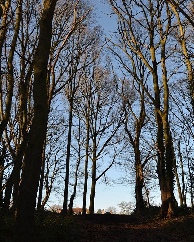 DP_Symposium's tweet photo. Winter sky .
.
.
.
.
#landscape_lovers #landscapephotography #landscapelovers #landscape_captures #landscapes #hiking #trees #scenery #outdoors #woods #woodland #lake #instanature #tree #water #forest #naturelover #panorama #autumn #skylovers https://t.co/QHk6Ac7Qpw https://t.co/oMDftw4M0E