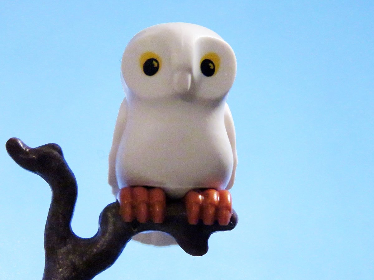 playmobil owl