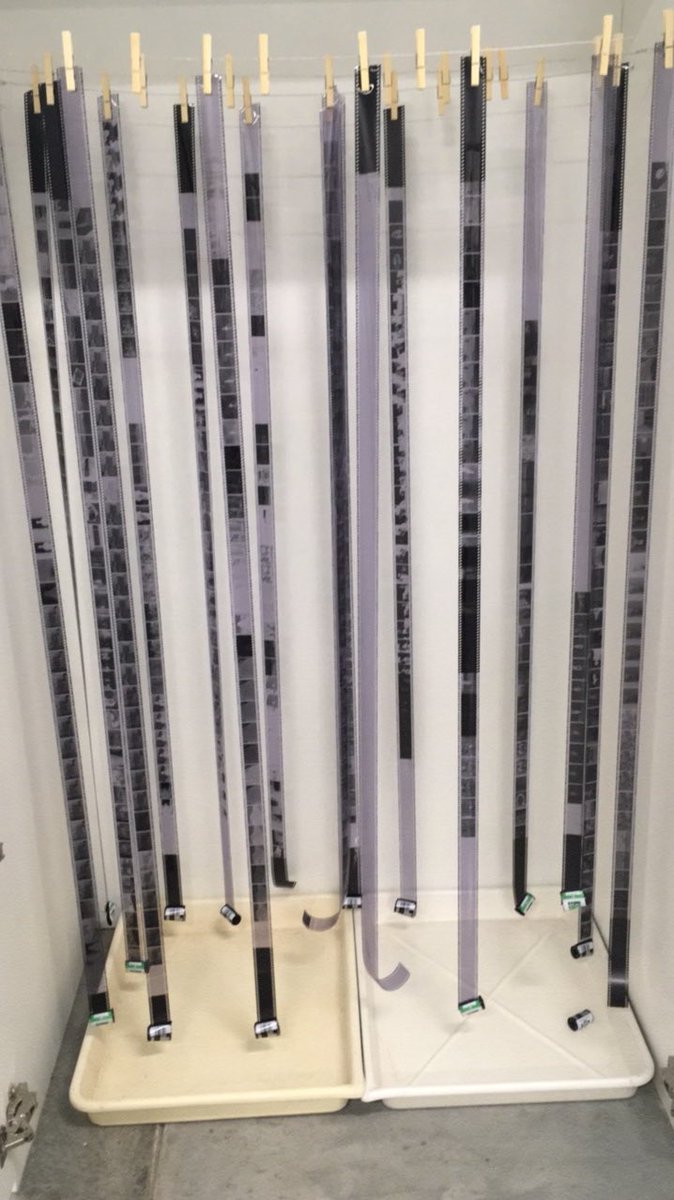 Lovely Negatives #filmmaker #filmmaking #filmaker #ecuad #analog