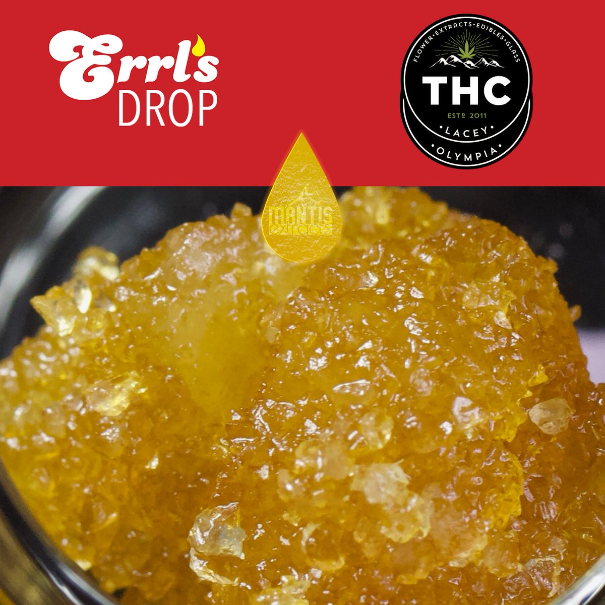 _errls's tweet image. Errl's drop at THC of Lacy and Olympia 🚨🚨🚨 We're very excited to have #mantisextracts available down south once again 😎🙌🙌
