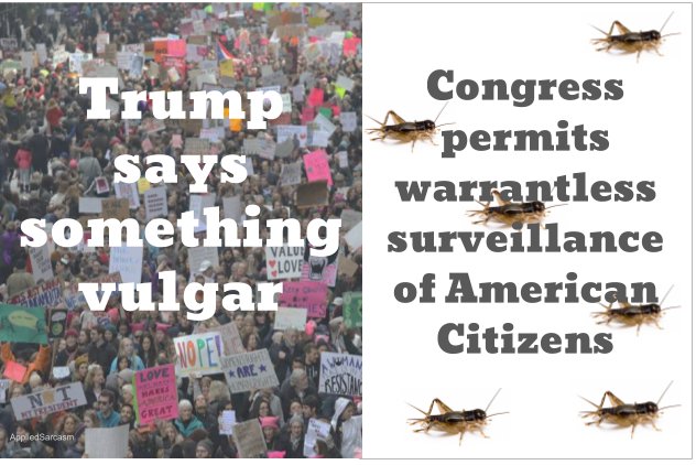 ToquevilleProj's tweet photo. Crickets... https://t.co/xZs899xSZ2