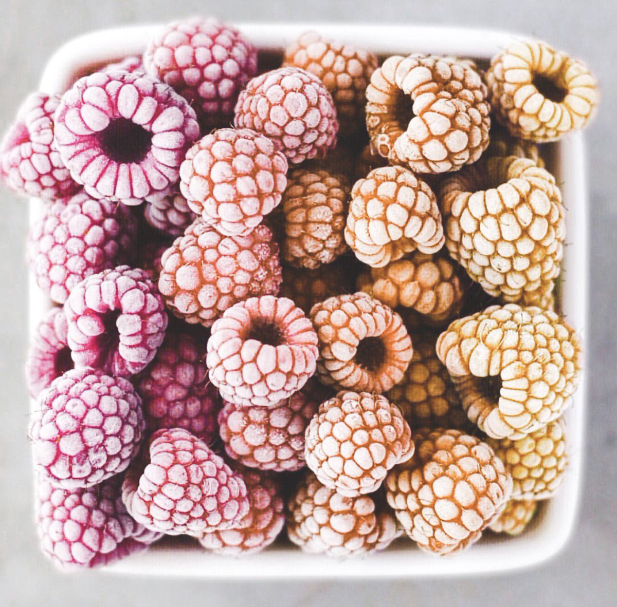 lifefeelgreat's tweet photo. We used to drink tons of caffeine. Now we make smoothies with frozen berries and green Vibrance health power! #Commissary #EatGreatFood #HealthySmoothie #FrozenBerries #LifeFeelGreat https://t.co/w9krskYYbu