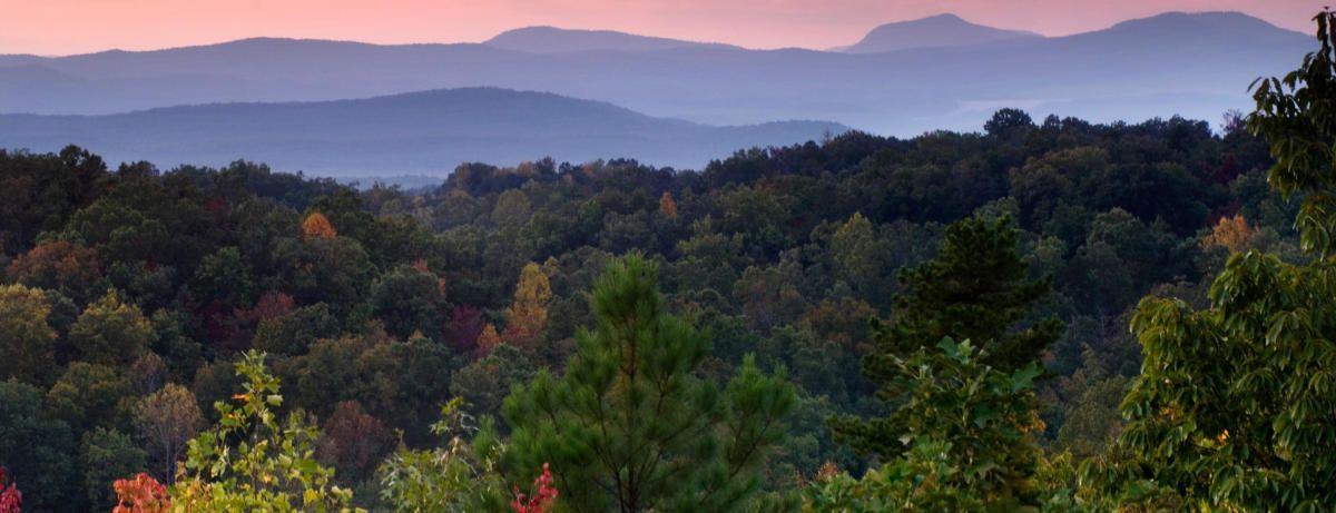 VisitGreenvilleSC tweet media