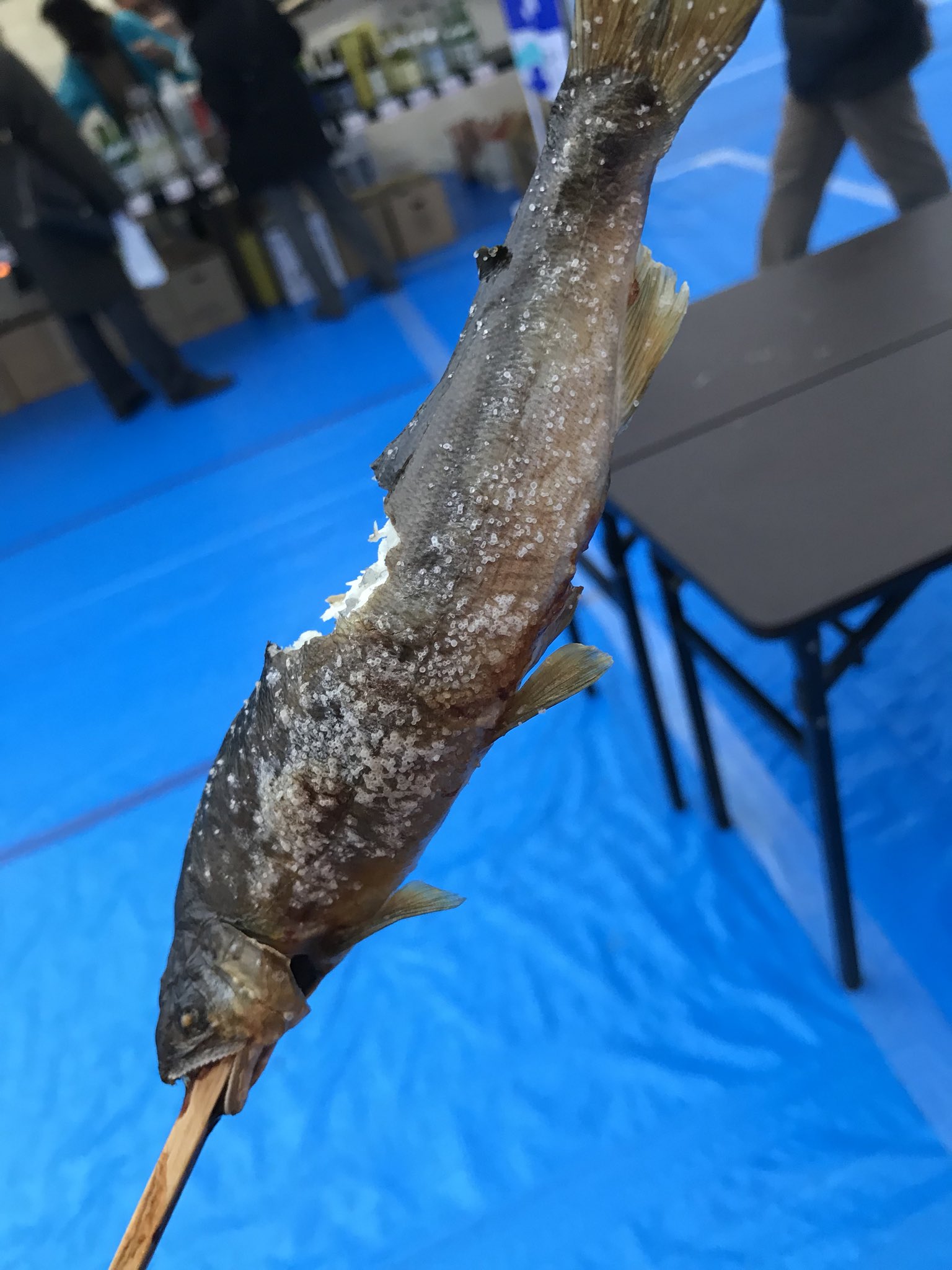 M 上野公園の屋台で鮎の塩焼きが売っていてつい釣られてしまう 勢いで 牛カルビ串も これから飯食うはずだが でも旨い M 上野公園の屋台で鮎の塩焼きが売っていてつい釣られてしまう 勢いで 牛カルビ串も これから飯食うはずだが でも旨い