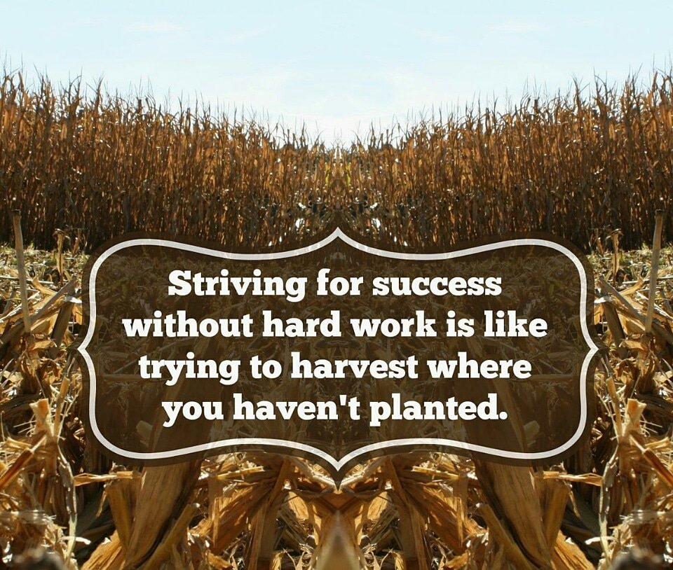 Farm Quotes For Instagram Complete Farmer Ar Twitter: "Kindly Follow @Completefarmer On Instagram,  Facebook And Twitter #Entrepreneurship #Nature #Agriculture #Food #Quotes  #Agripreneur #Startup #Startupculture #Agrifact #Farming #Cassava  #Goodmorning #Agribusiness #Facts ...