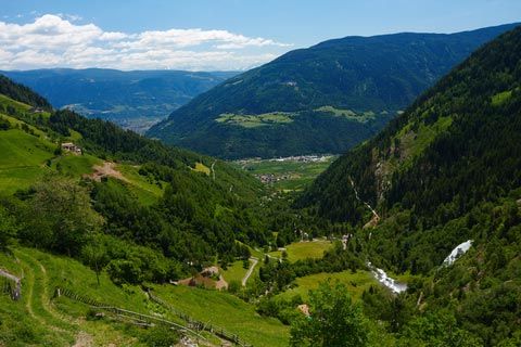 ToxicsFree's tweet photo. This small town in Northern #Italy banned all #pesticides. @ackermanleistp describes how they did it they and what they learned https://t.co/3suDlXiDEa https://t.co/t5dc4VlJuy