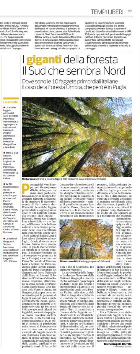 ParcoGargano's tweet photo. Le nostre faggete patrimonio @UNESCO  sul @Corriere di oggi. Grazie a @MicBorrillo per l'ottimo articolo!
#orgogliosi @micheleemiliano https://t.co/jvSs9VW3Cm