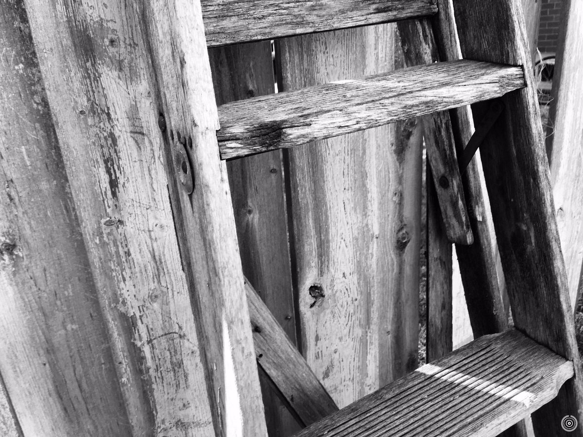 Sometimes it's the simple, plain, unnoticed things in life that speak so loud. <a href="/auntcandie/">CANDIE BUCK</a> @earthaligned @AuntCandiesEC <a href="/jenrosejennings/">Jen</a>